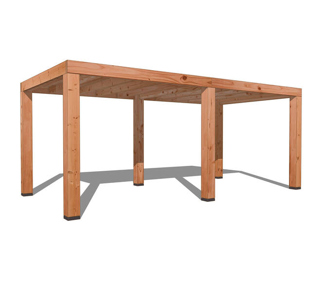 Douglas Overkapping Strak 3x6m. | Type 01 01